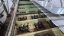 Ukraine’s Drone Strikes Redefine Warfare: Could These Tactics Reach U.S. Soil?